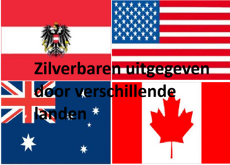 Zilverbaren Overige