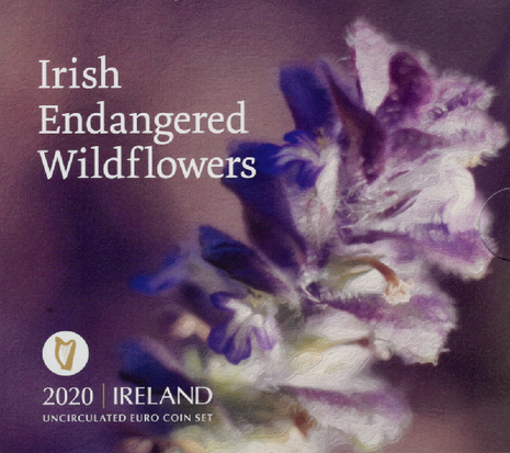2020: Bedreigde Ierse wilde bloemen