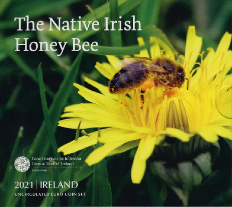 2021: Ierse honingbij