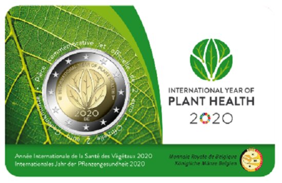 2020: Internationaal Jaar van de Plantgezondheid