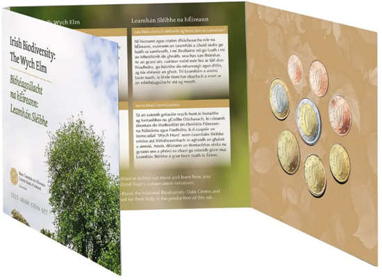2025: Ierse Biodiversiteit, Wych Elm of Bergiep