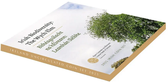 2025: Ierse Biodiversiteit, Wych Elm of Bergiep