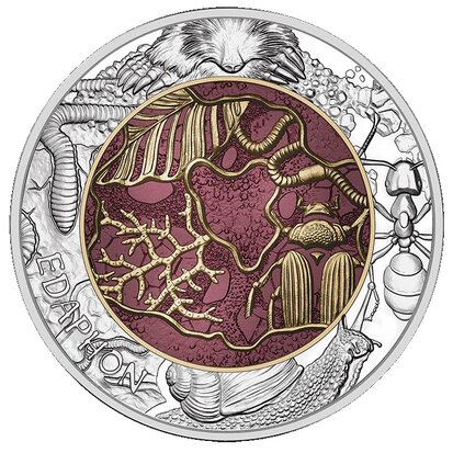 2024: Edphon of bodemleven