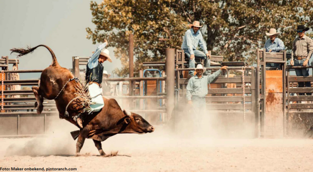 Rodeo
