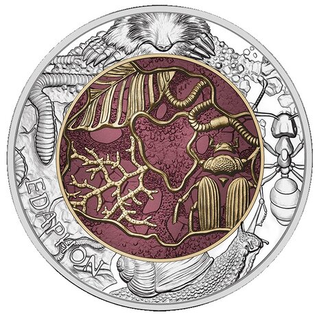 2024: Edphon of bodemleven