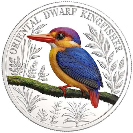 Dwarf Kingfisher, Zilver Ag 0,999, 1oz, Proof met COA, Voorkant munt