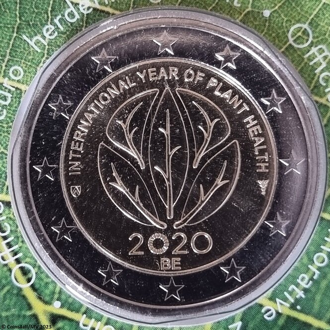 België 2 Euro 2020 