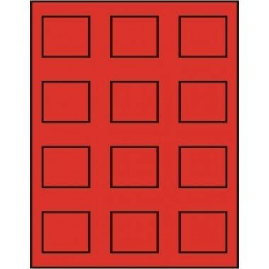 Muntenbox standaard met 12 rechthoekige vakjes van 55 x 48 mm