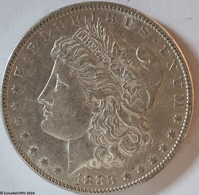 1 Morgan Dollar 1883, zonder mmt, Prachtig  /  MS63