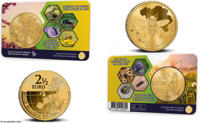 België 2½ Euro 2024 